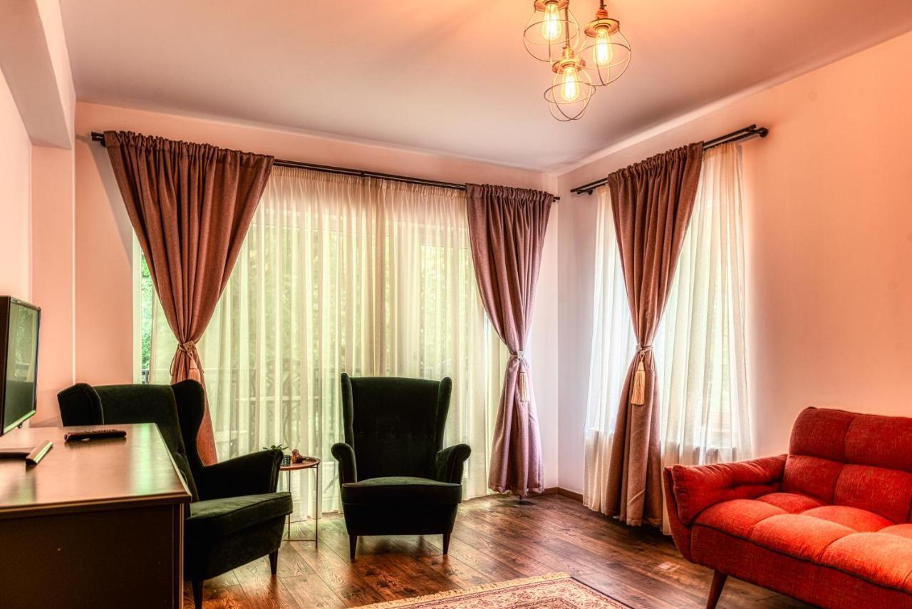 Nature Apartment - Minutes Away From The Old Town And Afi Mall Braşov Buitenkant foto