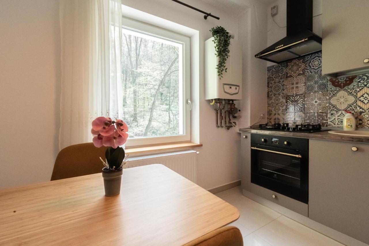 Nature Apartment - Minutes Away From The Old Town And Afi Mall Braşov Buitenkant foto